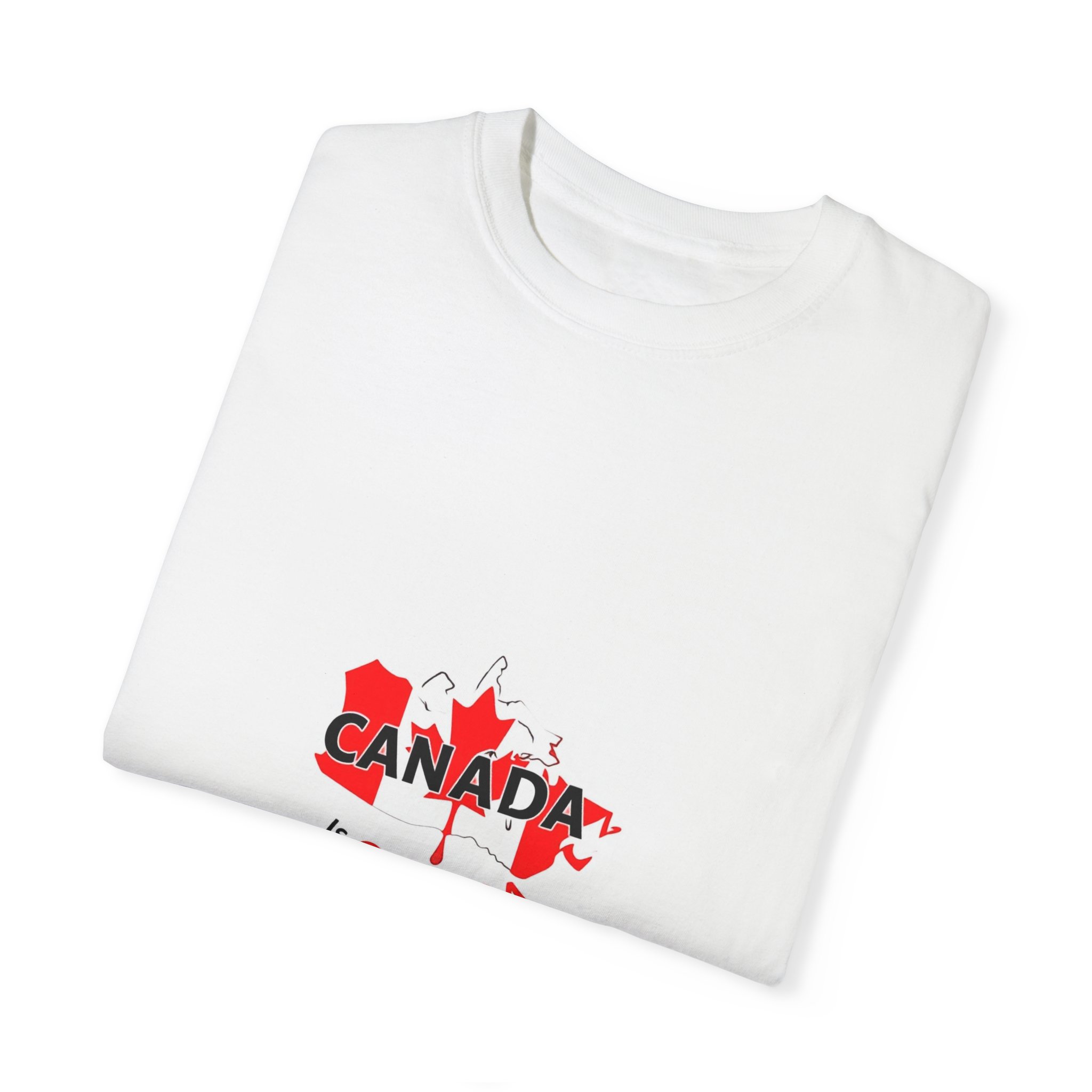 Canada is Canada Unisex Garment-Dyed T-shirt - Perfect for Canada Day Celebrations - Image 4